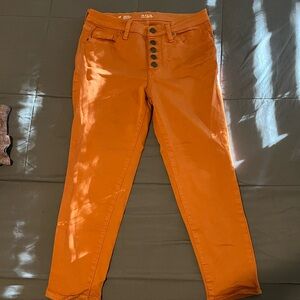 Burnt Orange High Rise, Skinny Ankle Jeans